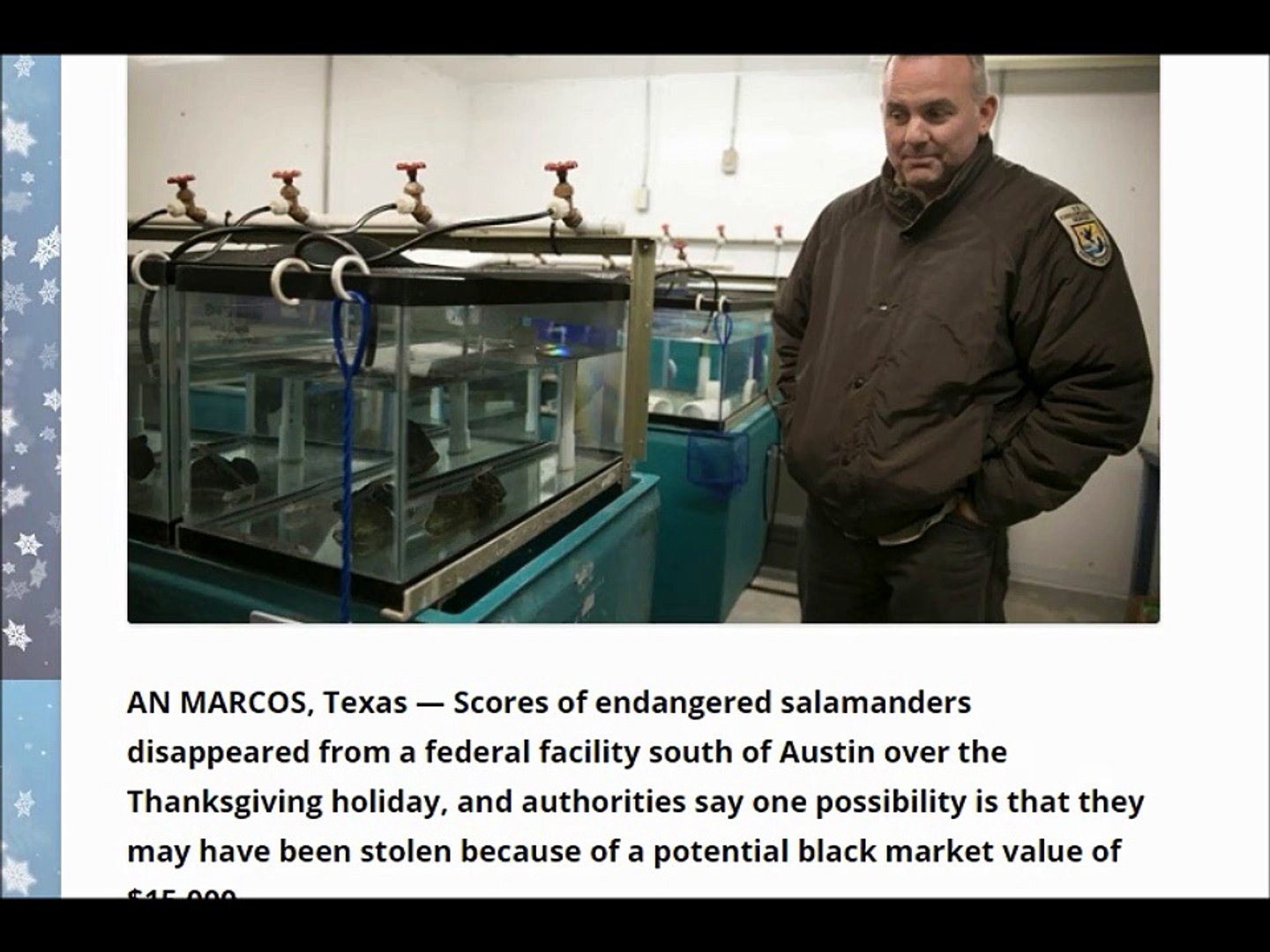 ⁣Abducted! Endangered salamanders missing from Texas facility