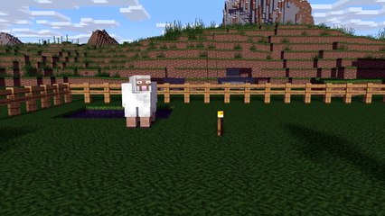 Sheep Life - Craftronix Minecraft Animation