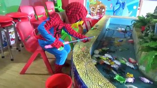 baby Spiderman go to Indoor Playground for kids to play ball, fishing, slide, playing in sand