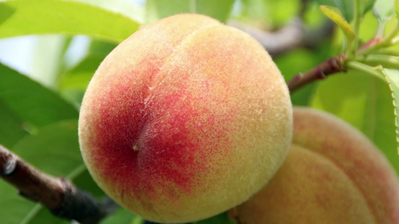 10 Sex Records That Actually Exist