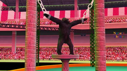 Funny SuperHeroes Spiderman Hulk Iron Box Fails Compilation Joker | Dinosaur Gorilla Finger Family