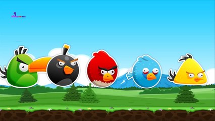 angry birds Finger Family Nursery Rhymes | apple Finger Family Songs