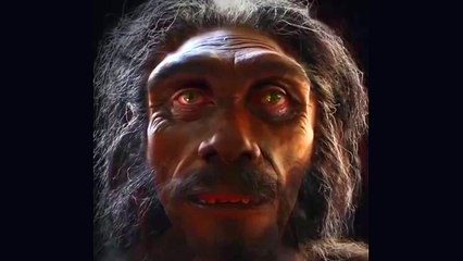 6 Million years of Evolution of human in 1 min
