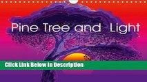 Download Pine Tree and Light: I Was Born Under Pine Trees and Spent Whole My Life Looking at How