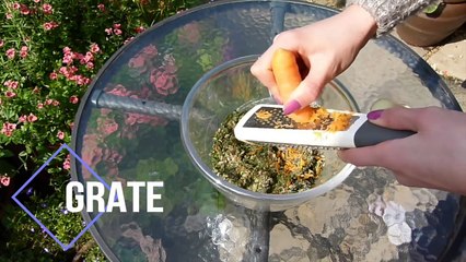 Cookies For Guinea Pigs