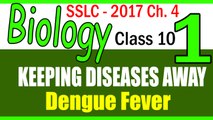 BIOLOGY| Class 10 PART-1 ||Dengue fever |Keeping Diseases Away| | Chapter 4 |CLASS 10| | KERALA