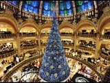 Top 10 Worlds best Christmas Trees