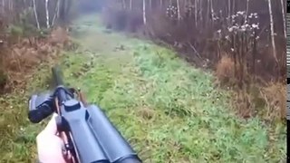 Excellent hunting for wild boar. video collection of good shots