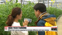 Korea tests smart farm service to increase efficiency and save energy