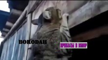 СМЕШНЫЕ КОТЫ ПРИКОЛЫ С КОТАМИ ТОПовая подборка