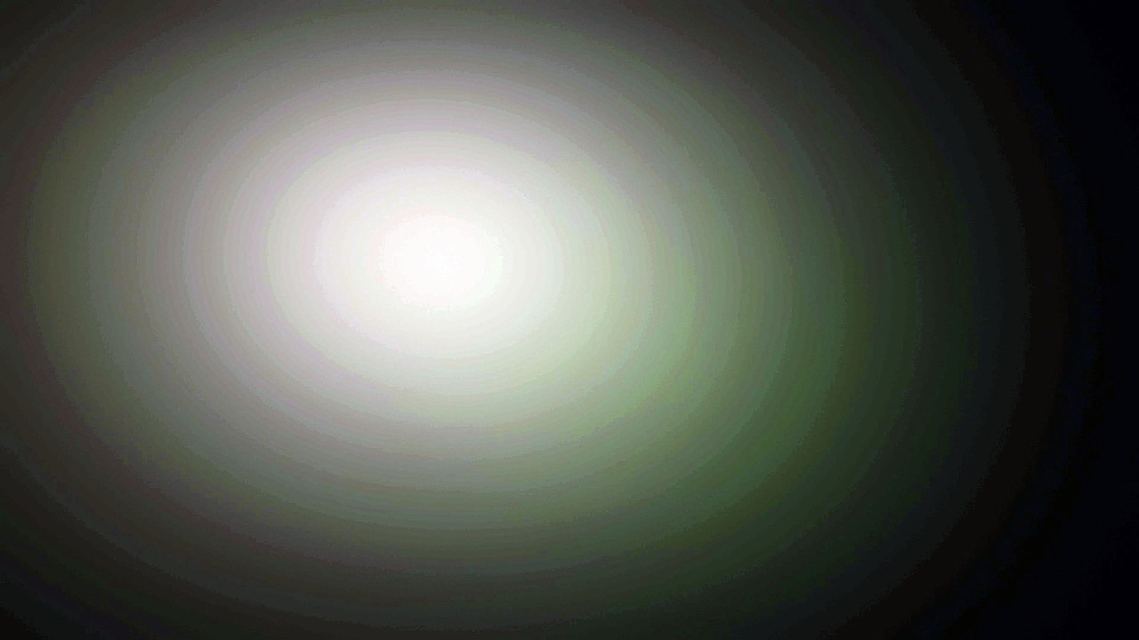 Lets Learn -Bird & Fish Care Channel || Coming Soon