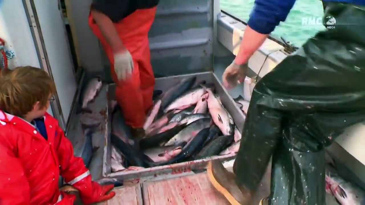 ALASKA - LES PÊCHEURS DE L' EXTRÊME