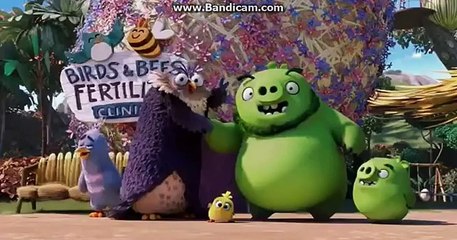 The Angry Birds Movie Friends Clip