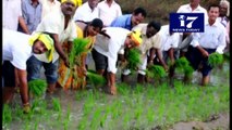 TDP Leader's and MLA Start Agriculture works at Andhra Pradesh