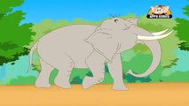 Classic Rhymes from Appu Series - Nursery Rhyme - An Elephant Walks Like This