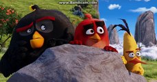 The Angry Birds Movie Red, Chuck and Bomb found the Mighty Eagle