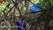 Amazing Three Brave Children Catch Tree Snake Using Trap - How To Catch Tree Snake In Cambodia