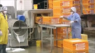 Amazing Chicken Meat Cutting Machine Production Factory In Arabic