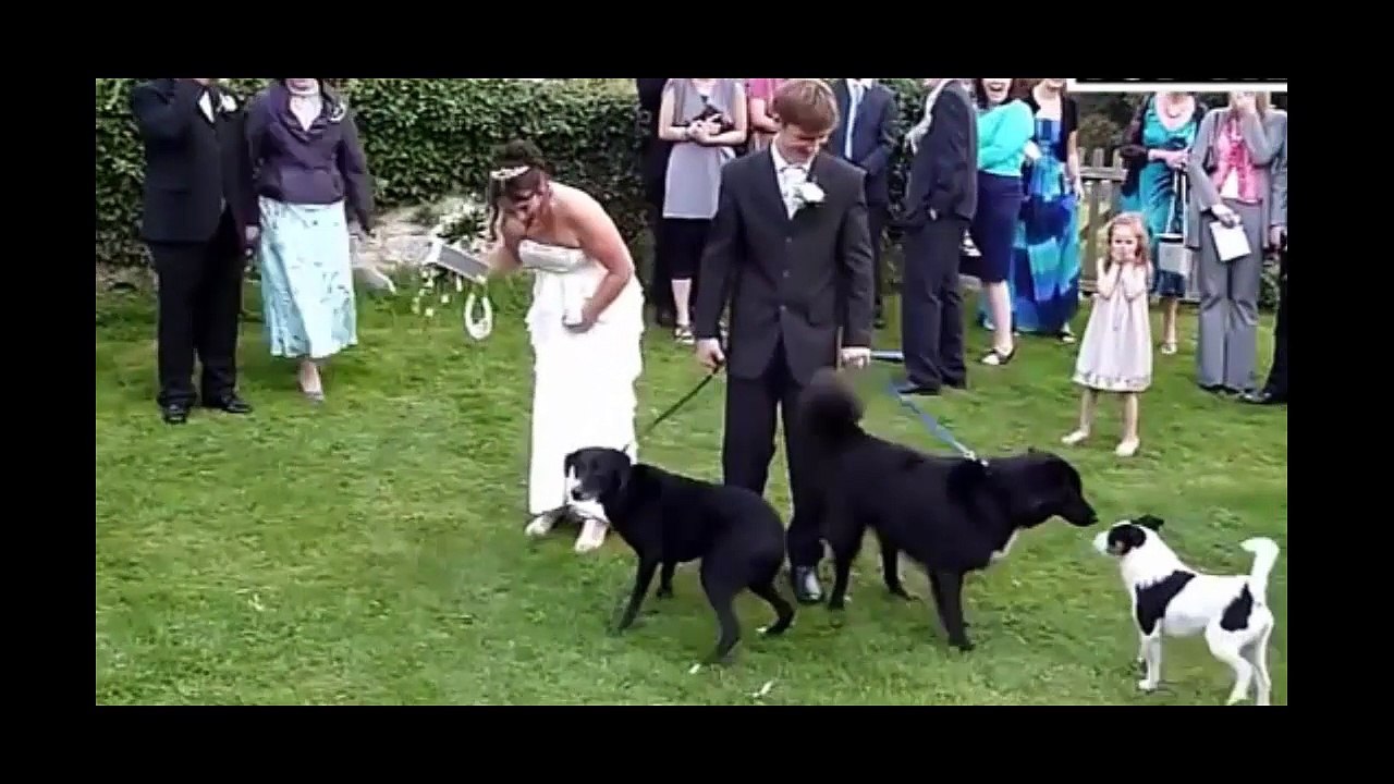 Most Funny Video What You Ever Seen clip 8
