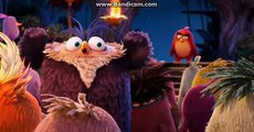 The Angry Birds Movie Red, Chuck and Bomb found the Pigs
