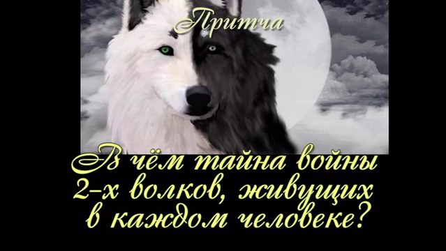 В чём тайна войны волков, живущих в каждом человеке? (лучшие видео притчи о жизни)