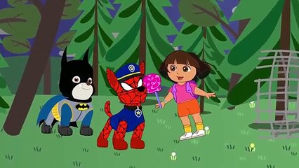 Masha Et Dora Paw Patrol sauveurs Doigt de la Famille des Comptines