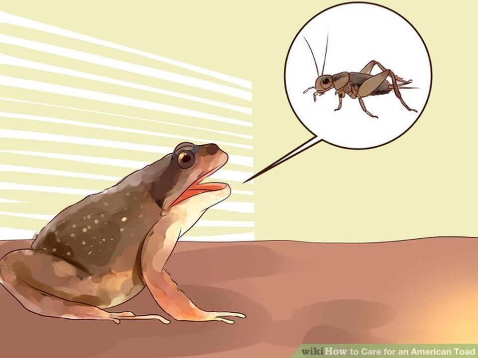 86 - Brian Cox - Toad Limit