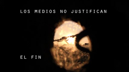 11 vakas /de la serie 11 AÑOS NO SON NADA , 10 son demasiados....