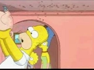 Simpsons - Spider Cochon