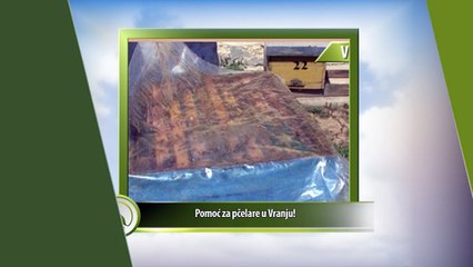 Vesti - Vranje: Pomoć za pčelare u Vranju!