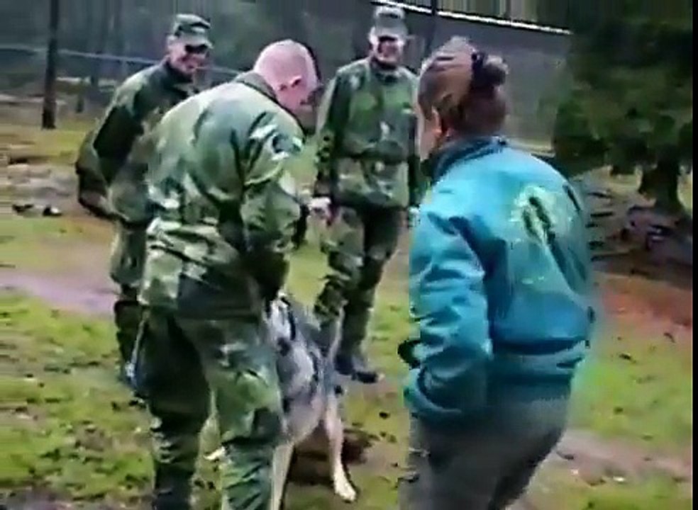 Человек и Волк