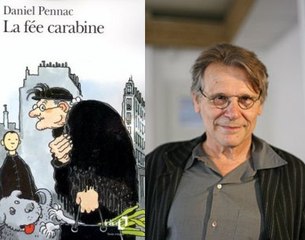 Novels Plot Summary 270: The Fairy Gunmother