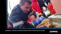 Roumanie : un pompier devient célèbre après avoir sauvé un chien
