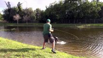 Shoking fishing - top_14