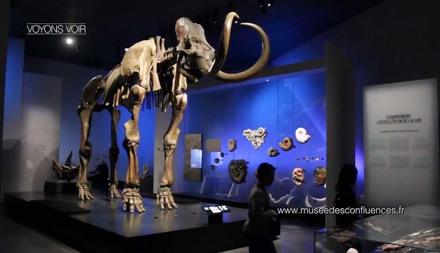 Voyons voir : le musée des Confluences de Lyon