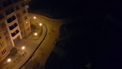 Quand tu fait tourner en rond des chiens avec un laser