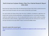 North American Soybean Dietary Fiber Flour Market Research Report 2016-2020