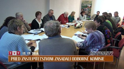 Pred zastupiteľstvom zasadali odborné komisie