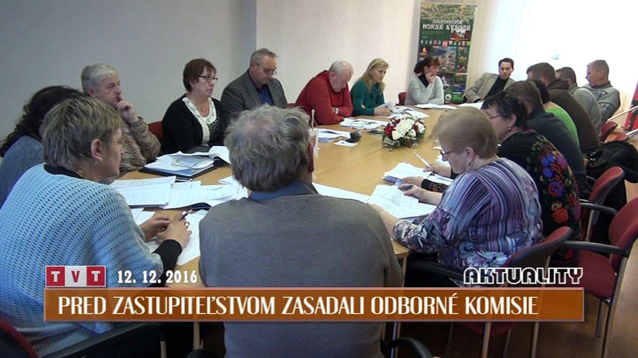 Pred zastupiteľstvom zasadali odborné komisie
