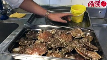 Cuisiner avec le chef de l'Auberge du Dauphin au Breuil-en-Auge