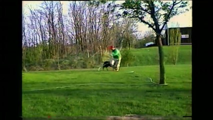 Il Cane insegue il Suo Umano, con il Tubo dell'acqua in Bocca