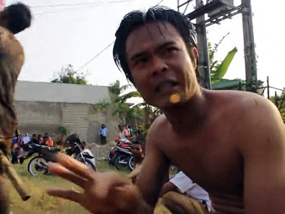 ASBUN (Strategi Panjat Pinang) Eps 2