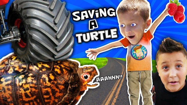 RAN OVER TURTLE! Eww Blood Mom vs. Dead Snake Skin HAHAHA (FUNnel Vision Pet Smart Habitat Vlog) - FUNnel Vision