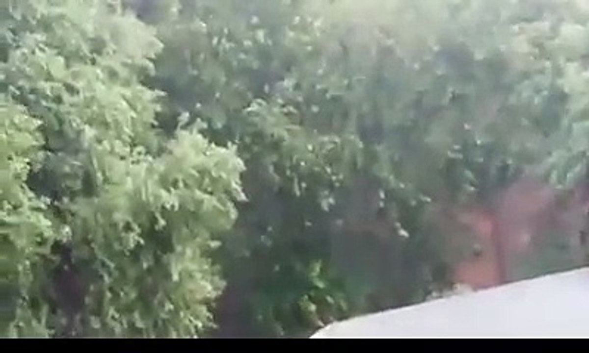 Vardah Cyclone Effect in Chennai Live - Hyatt Hotel Damaged