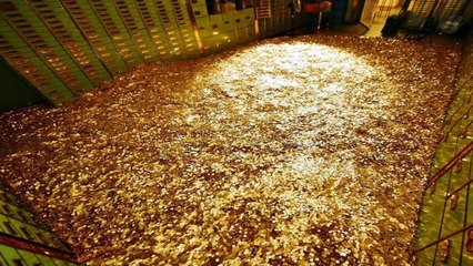 Dünyanın En Tehlikeli 10 Ailesi