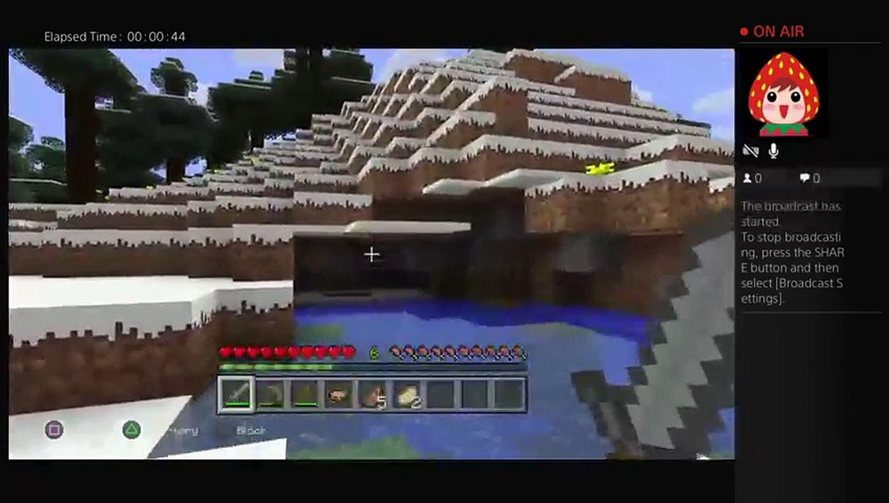 Minecraft #3 (7)