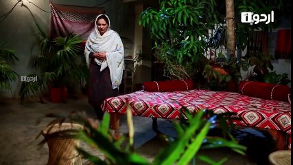 Ek Pal Ka Malal  Episode 20  Urdu1