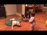 Dog Training Toddler Dishes Out the Treats