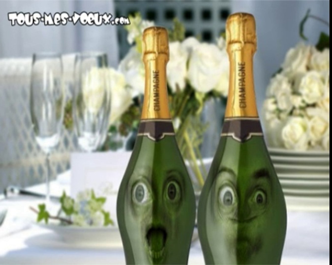 Champagne Joyeux Anniversaire Humour Carte Anniversaire Animee Video Dailymotion