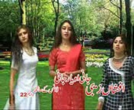 Asan Mari Udari Ud Jana Afshan Zeebi Song playitpk